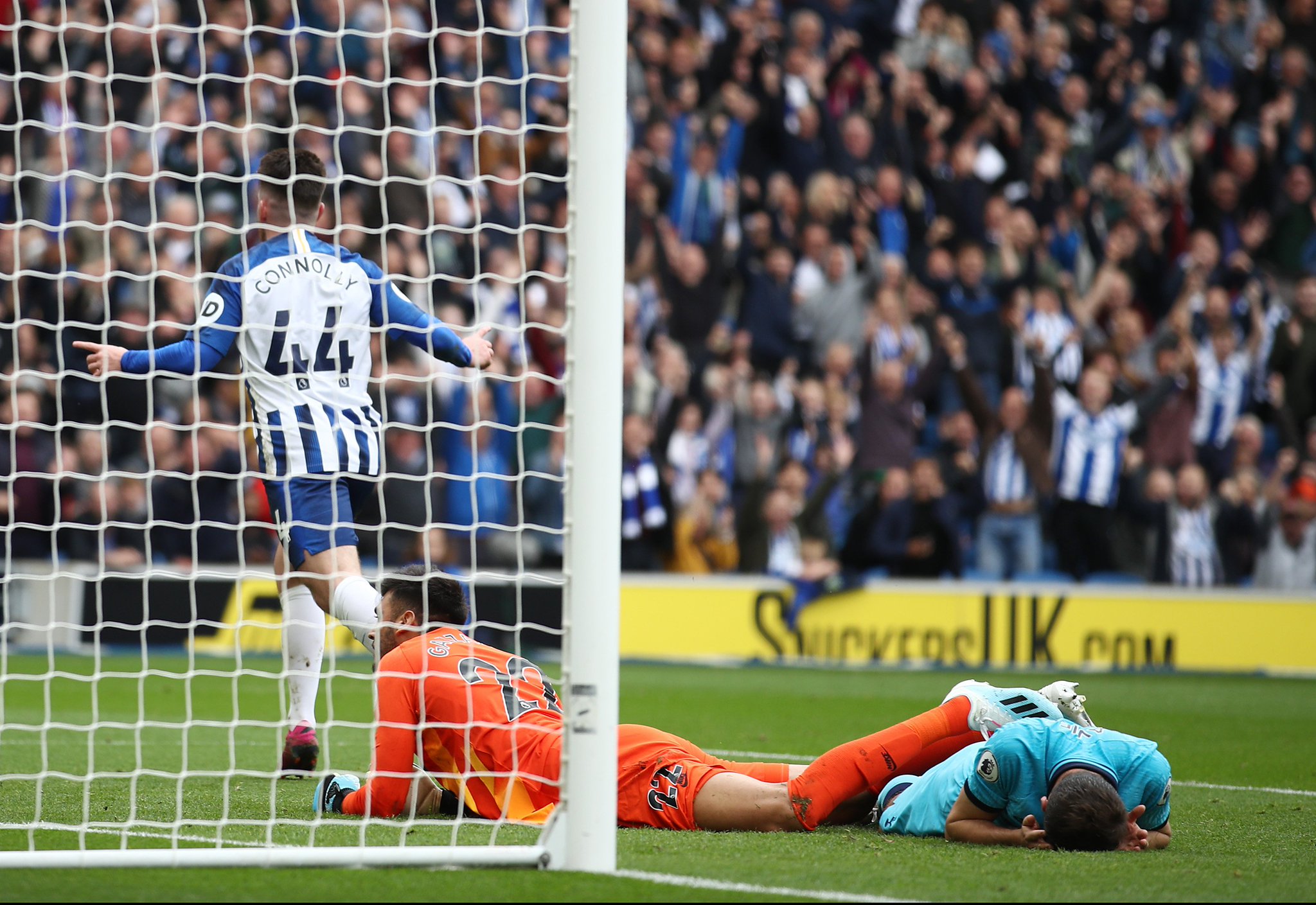 的世界里 的世界里