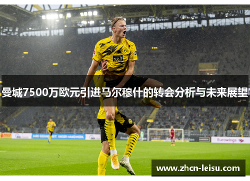 曼城7500万欧元引进马尔穆什的转会分析与未来展望