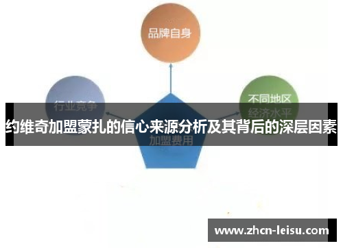 约维奇加盟蒙扎的信心来源分析及其背后的深层因素